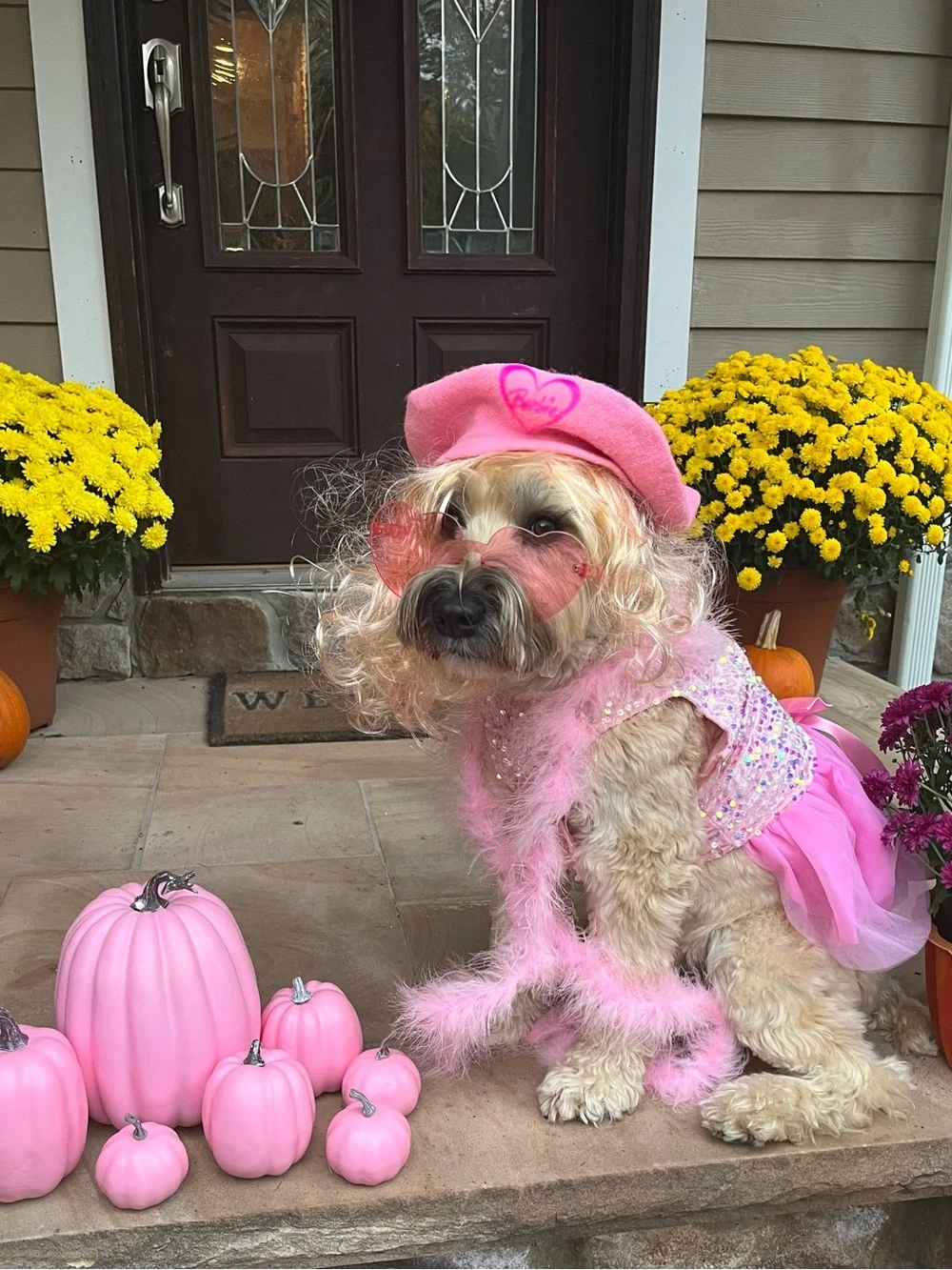 N/A barbie charming